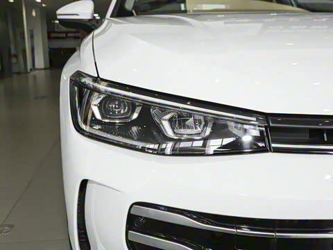 2025�� Pro 300TSI ��ҫ��