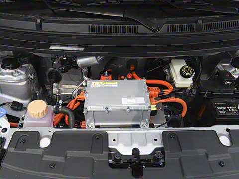 2025�� 305km ������