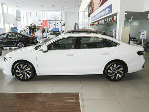 2025�� Pro 300TSI ��ҫ��