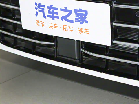 2025�� Pro 300TSI ��ҫ��