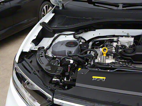 2025�� �Ŀ�� 300TSI DSG���������