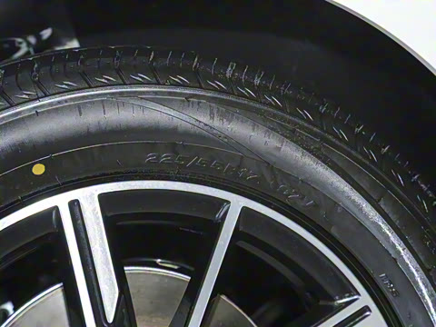 2025�� DM-i 80KM�����