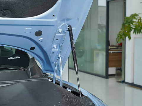 2025�� 555���˰�