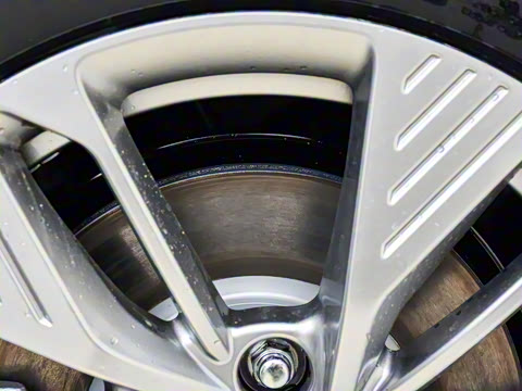 2025�� 445km ��ѡ��