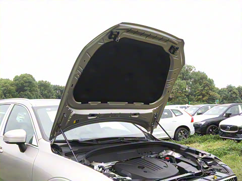 2026�� B5 �������ݺ�����