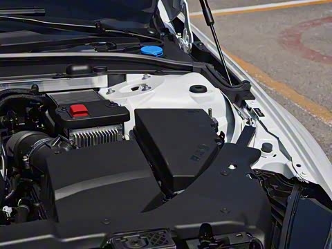 2020�� T5 ��Զ�˶���