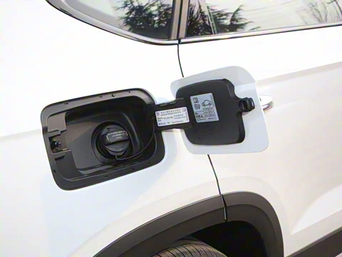 2023�� 300TSI ���������