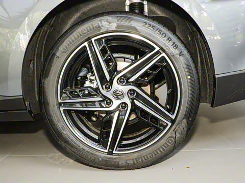 2025�� 1.5T 300 DCT������