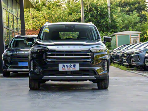 2021�� 390T ������ҫ��������