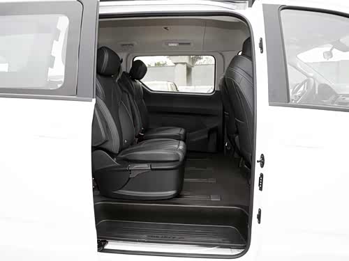 【图】上汽大通maxus g10 2023款 2.