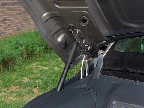 2025�� ������������������Max��