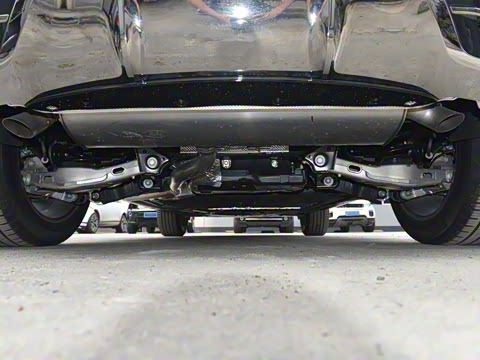 2021�� ����L P300e ������