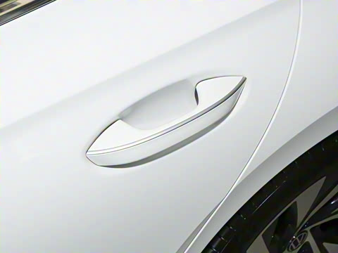 2025�� Pro 300TSI ��ҫ��