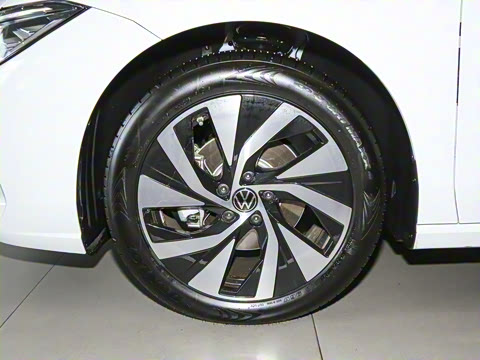 2025�� Pro 300TSI ��ҫ��