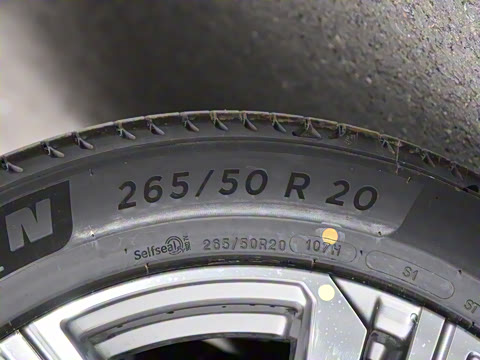 2022�� ��������������