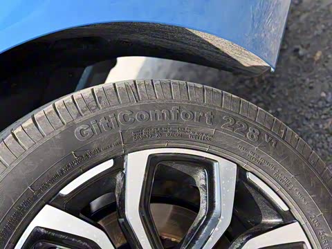 2019�� ������