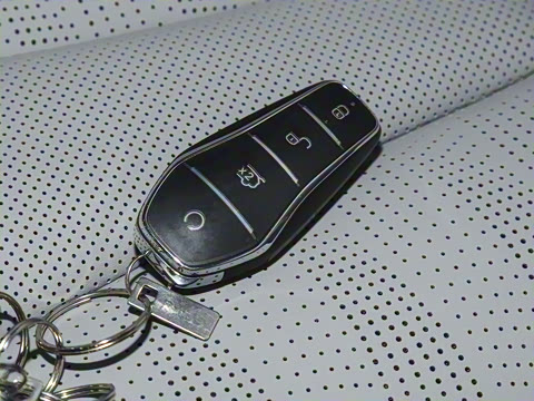 2025�� DM-i 80KM�����