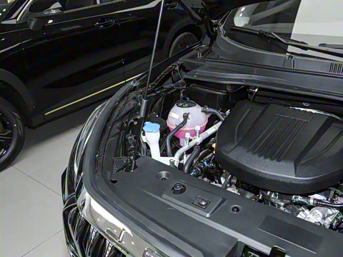 2025�� 1.6TD DCT��Ӣ�� 5��