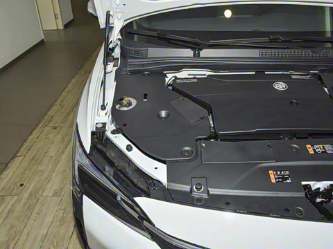 2022�� ���춯 �����ǻ���