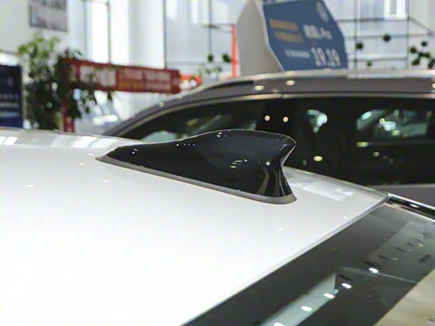 2025�� Pro 300TSI ��ҫ��