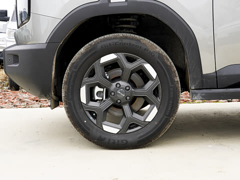 2025�� 2.0TD XWD��Խ