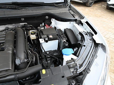 2022�� ��è�� 1.4T �Զ�������Pro