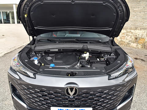 2024�� ������ 1.5T DCT�����