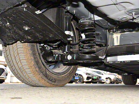 2022�� Plus 70 �����