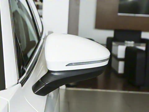 2025�� Pro 300TSI ��ҫ��