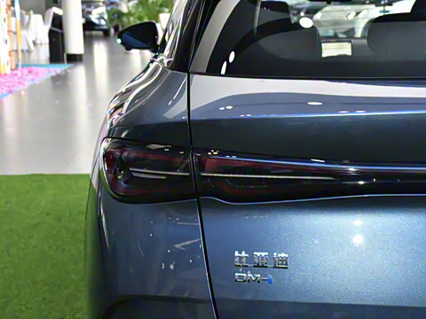 2025�� DM-i 80KM�����