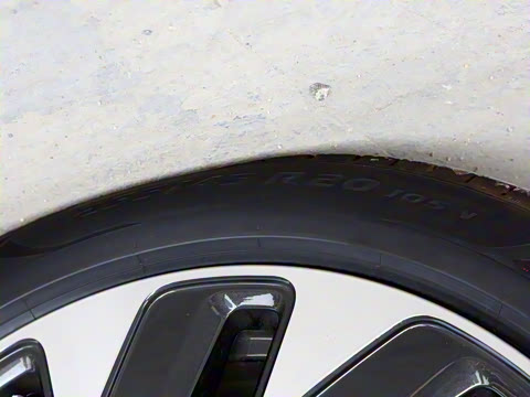 2022�� �������������