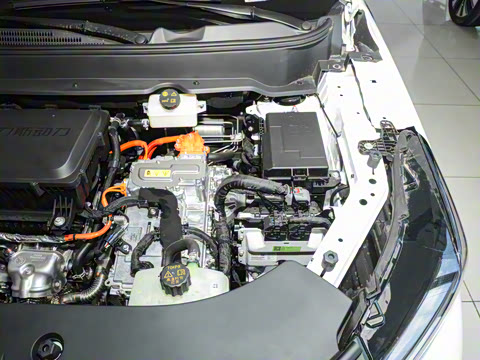 2026�� 165km ������������ 7��