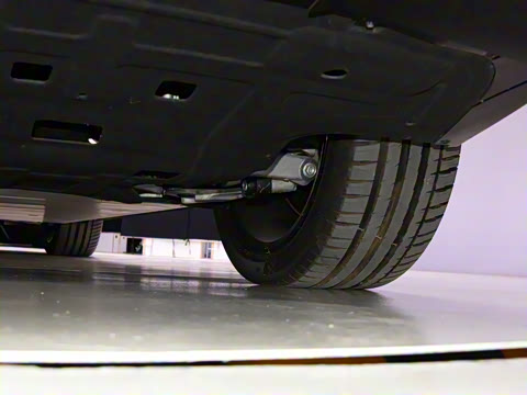 2022�� DNA �����