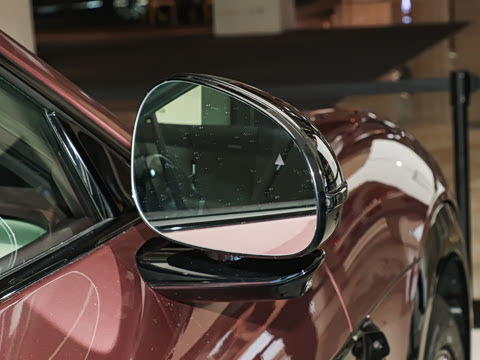 2025�� ��������������