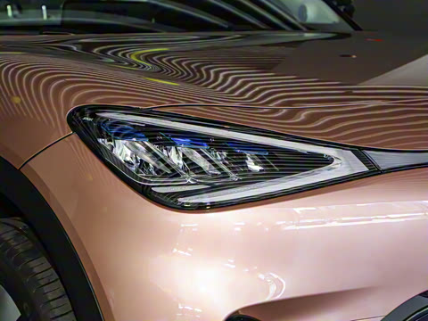 2026�� �鶯��������