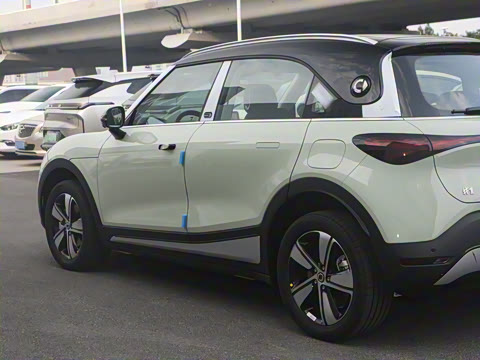 2026�� �鶯��������