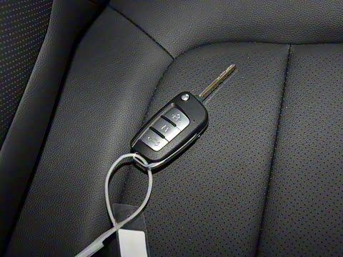 2022�� 1.5L �ֶ�С��