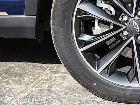 2022�� 390T �����籩�� 5��