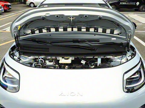 2025�� 330��ҫ��