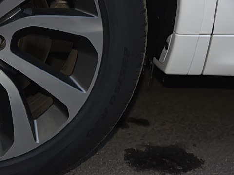 2022�� �Ŀ� 249PS �󶼻��