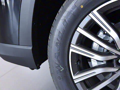 2024�� 1.6TD DCT����PRO 5��