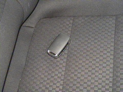 2021�� 1.5L �ͳ�����ʨ 7��