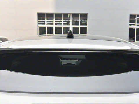 2021�� ����L P300e ������