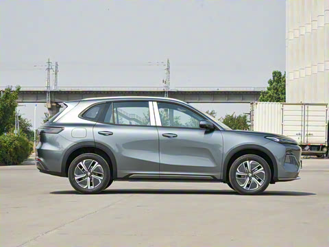 2025�� 55km ������