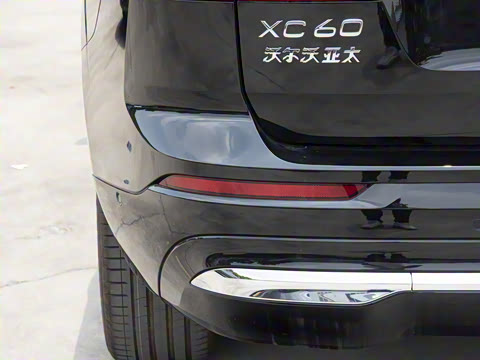 2026�� ���ʽ�춯 ������������Զ������