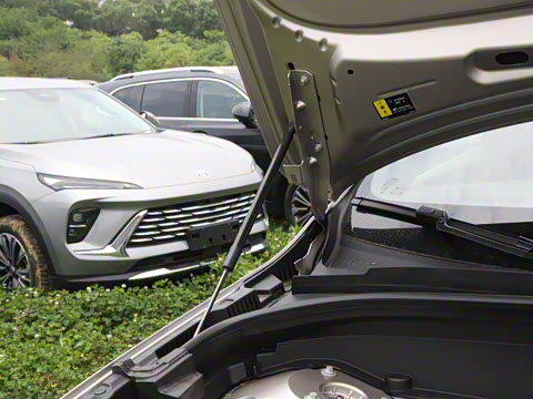 2026�� B5 �������ݺ�����