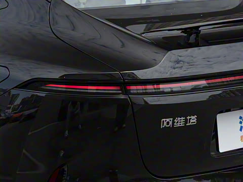 2025�� Max ���������