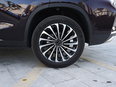 2021�� 290T ���������