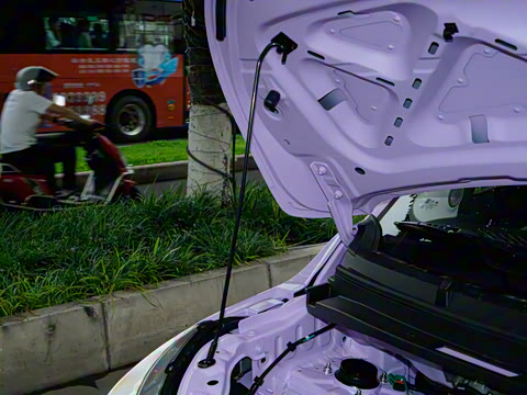 2026�� Mate 305km ����̤�˰�