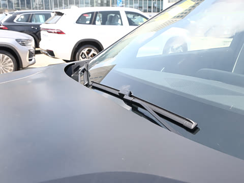 2025�� ̽����